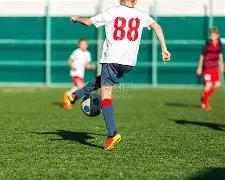 斯洛伐克球,星哲科因伤,告别两场欧,星力捕鱼平台,星力十代捕鱼游戏,正版星力捕鱼,星力捕鱼app