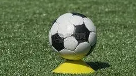 马薇薇热议小G娜风波：吴某凡粉丝行为被赞活菩萨